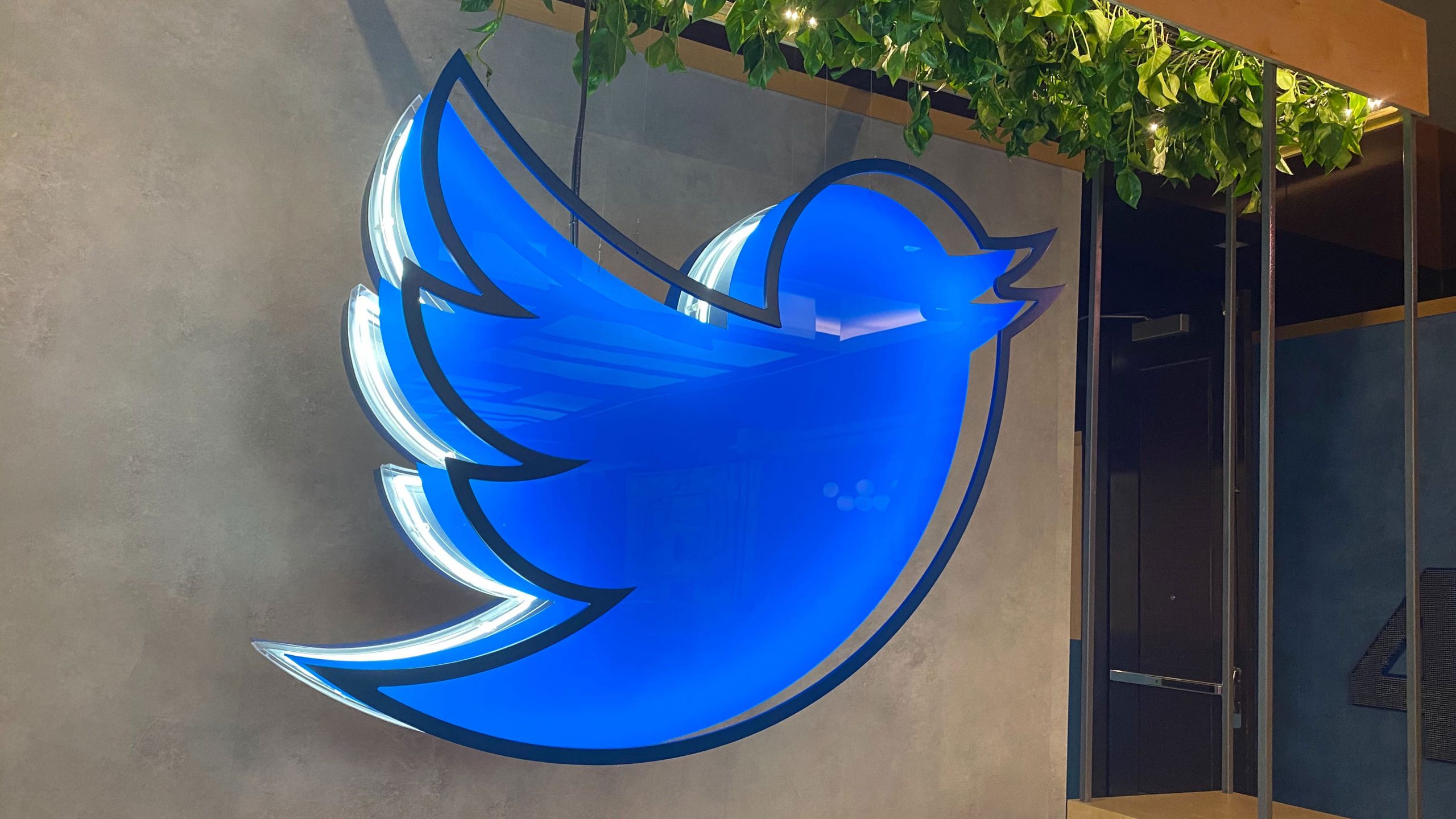 Twitter is playing with GOI